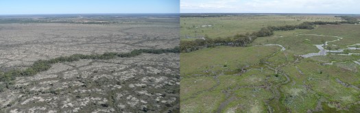 3 Marshes wet &amp; dry 2008-2010